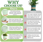 Self-Watering Plant Pots for Indoor Plants: 5/6 Inch Plastic Planter - Image 4