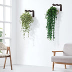 Wavy Plant Hanger Hooks – 2 Pack Rustic Wooden Wall Mounts - Image 3