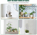 Metal Trellis for Climbing Plants Indoor, 16.36 inch Small Trellis for Potted - Image 4