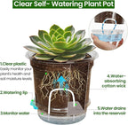 20 Pack 5 Inch Clear Self Watering Plant Pots - Image 4