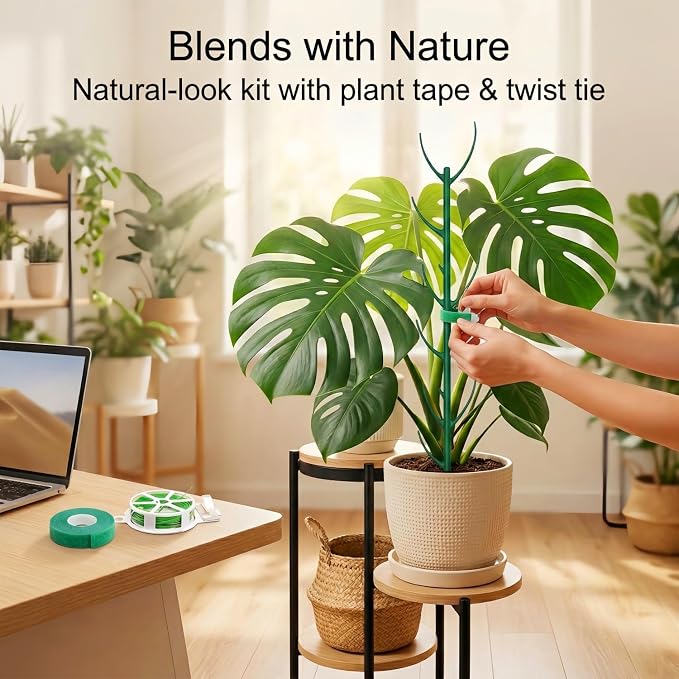 30-Pack Monstera Plant Support Stakes - Image 5