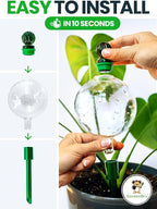 6pcs 16 Oz Plant Watering Globes - Image 4