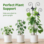 4 Pack 30 InchTaller Plant Trellis - Image 6