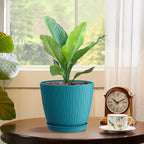 6 inch Plant Pots, 5 Pack Flower Pots - Image 5