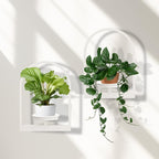 Wall Planters for Indoor Plants Window Plant Shelves Set of 2 by STORENIZATION