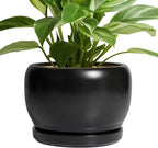 SQOWL Ceramic Plant Pots by SQOWL