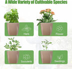 8 Pack Self Watering Pots 4-inch Decorative Flower Planters - Image 5