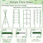 Riare 6 Pack 5.2 FT Tomato Cages - Image 5