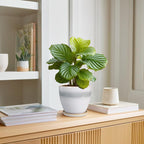 Ceramic Plant Pot - Image 3