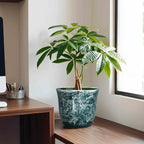 8 Inch Plant Pot - Image 3