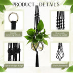 6 Pcs Plastic Plant Propagation - Image 4