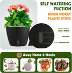 Self-Watering Pots for Indoor Plants, Small African Violet Pots - Image 2