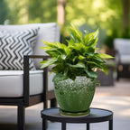 Ceramic Pots for Plants - Image 4