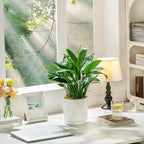 vancasso Ceramic Plant Pots, 3 Piece Planters - Image 8