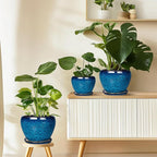 Ceramic Modern Glaze Succulent Planter Pot - Image 9