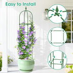 2 Pack Garden Obelisk Trellis for Climbing Plants, Tower Potted Cages for - Image 4