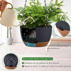 Hanging Planters for Indoor Plants - Image 3