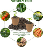 Biodegradable Peat Pots for Seedling - Image 5