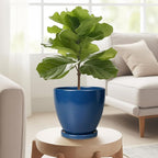 6.8 Inch Plant Pot - Image 4