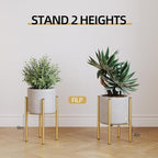 Plant Stand Indoor for 2 Height Options, Mid Century Modern Outdoor Planter - Image 5