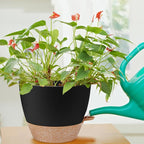 12 inch Large Self Watering Plant Pots, Flower Pots Planters - Image 6