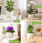 Planterhoma 3 Pack Self Watering Pots - Image 8