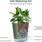 4 inch Self Watering Pots for Indoor Plants, 5 Pack Small Flower Plant Pots - Image 4