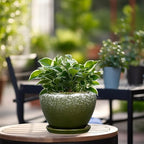 6 Inch Plant Pot - Image 2