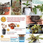 5 Pack Self Watering Plant Pots 5/6.7/8.4 In Self Watering Planters - Image 3
