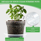 BTPLASTIK Clear Plastic Nursery Pots - Image 3