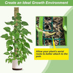 60"/40"/24" Metal Moss Pole, D Shape Sphagnum Moss Pole, Moss Poles - Image 4
