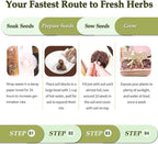 5 Herb Garden Planter Indoor - Image 7