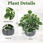 13" Artificial Plants Indoor Small Fake Plant in Ceramic Pot, Silk Plants - Image 2