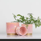 Gepege Pink Indoor Plant Pots for Plants, Ceramic Planter - Image 7