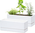 D'vine Dev 12 Inch Window Box Planter, Rectangle Plastic Herb Planter by DvineDevPlanterPotsandStand