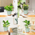 Planters for Indoor Plants 7/6.5/6/5.5/5 Inch, Self Watering Planters - Image 6