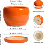 SQOWL Ceramic Pot for Plants - Image 3