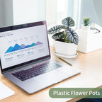 Windowsill Garden Pots, Succulents, African Violet - Image 8