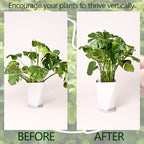 5PCS Monstera Plant Stem Support White 9 * 7.6in - Image 3