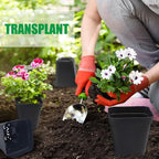 Square Nursery pots 4 Inches 60Pcs, Seedling Plastic Seeds propogation Growing - Image 5