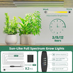 Simple Trending Tall Plant Stand Indoor - Image 7