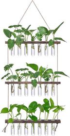 XXXFLOWER Wall Hanging Propagation Station by XXXFLOWER