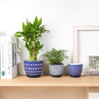 Selamica Ceramic Succulent Pots, 3.5 Inch Small Plant Pots - Image 5