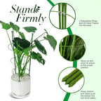 LEOBRO Tomato Cage, Climbing Plant, Plant Cages - Image 5