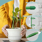 Plant Stakes, Garden Stake Pole - Image 5