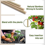 Plant Stakes, 12 Inches Natural Garden Bamboo Sticks, BOVITRO 20Pcs Plant - Image 4