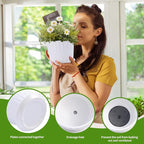 Plant Pots - 5.5 Inch Cylinder Ceramic Planters - Image 3