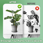 succulentlovers 4PCS Indoor Plant Support Stakes, 12.6 Inch Metal Monstera - Image 6