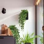 Hollyone Artificial Hanging Plants 36" Fake Ivy Vine Faux Ivy Leaves Hanging - Image 4