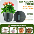Self Watering Pots for Indoor Plants, Small African Violet Pots - Image 2